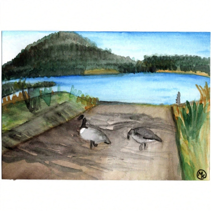 Watercolour painting of two Canada geese in front of a lake, with a hill in the background.